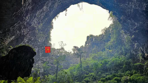 Sunlight illuminates a lush green forest inside a large cave opening.