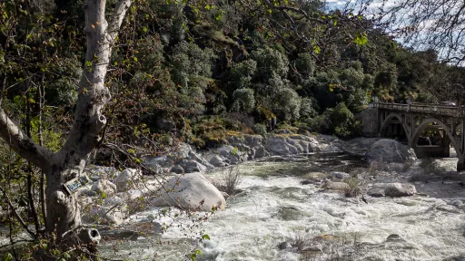 Kaweah River with rocks and trees under a cloudy sky, bridge in the background.