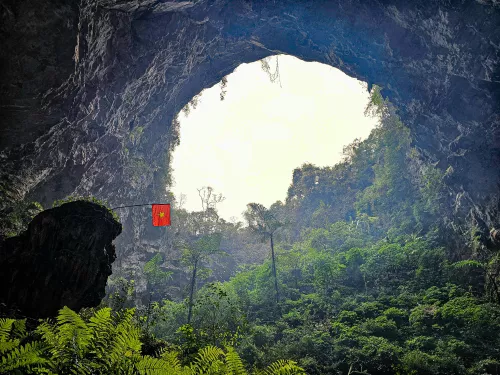 Sunlight illuminates a lush green forest inside a large cave opening.
